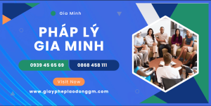 Hộ chiếu sai giới tính, xử lý pháp lý thế nào? 6 Mức phạt khi hộ chiếu sai giới tính
