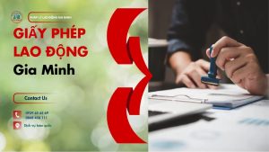 Đăng ký BHXH cho nhân viên chế biến bột nghệ 6 Dịch vụ hỗ trợ đăng ký BHXH